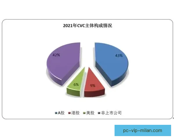 揭秘足球野鸡比赛直播网站乱象与风险防范指南深度解析行业问题与监管趋势